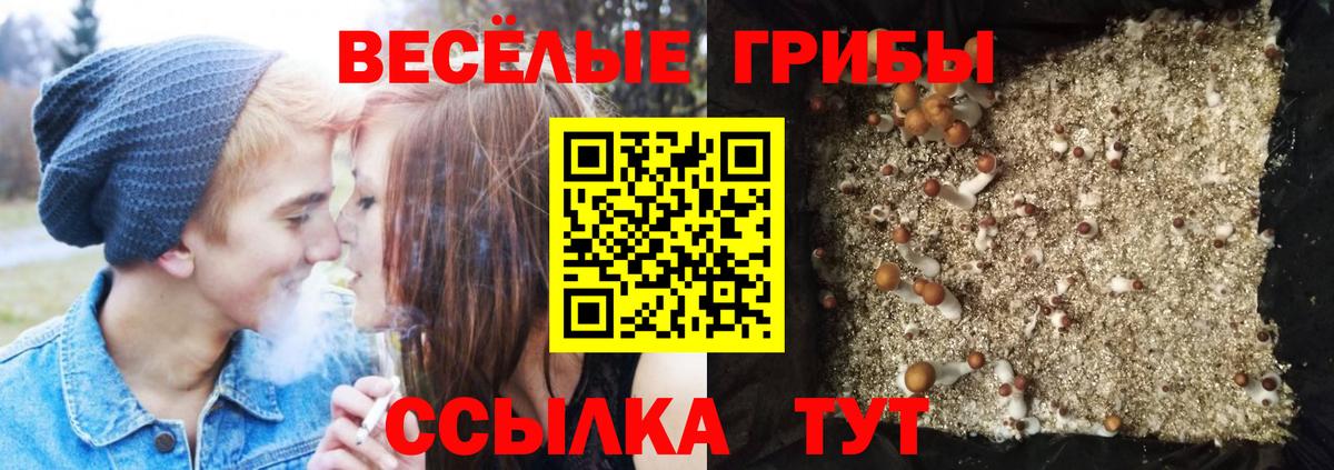 Домодедово  Галлюциногенные грибы мухоморы  Вход с VPN  Галлюциногенные грибы мухоморы 